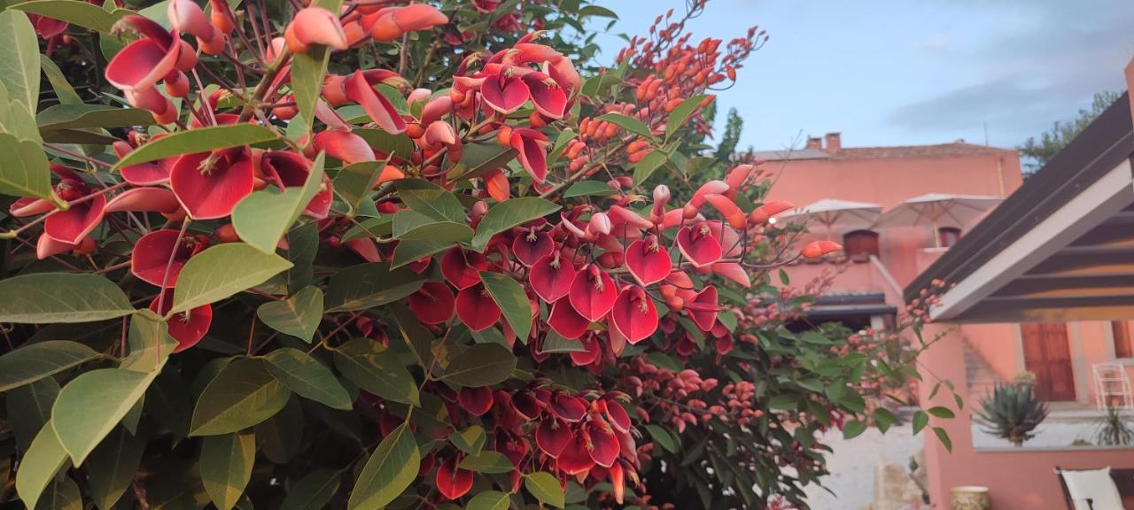 Bioagriturismo Antica Sena Milici Dış mekan fotoğraf