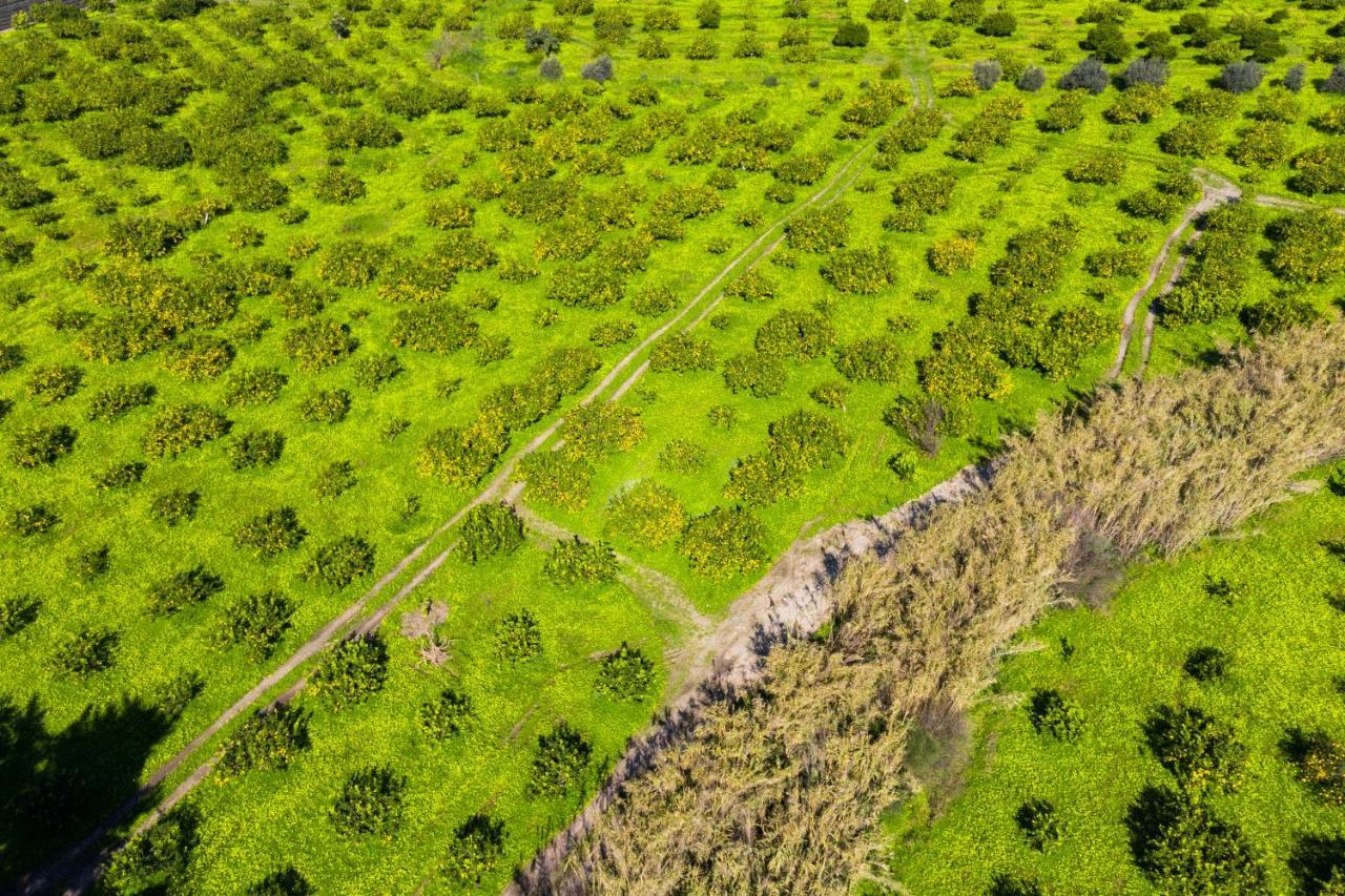 Bioagriturismo Antica Sena Milici Dış mekan fotoğraf