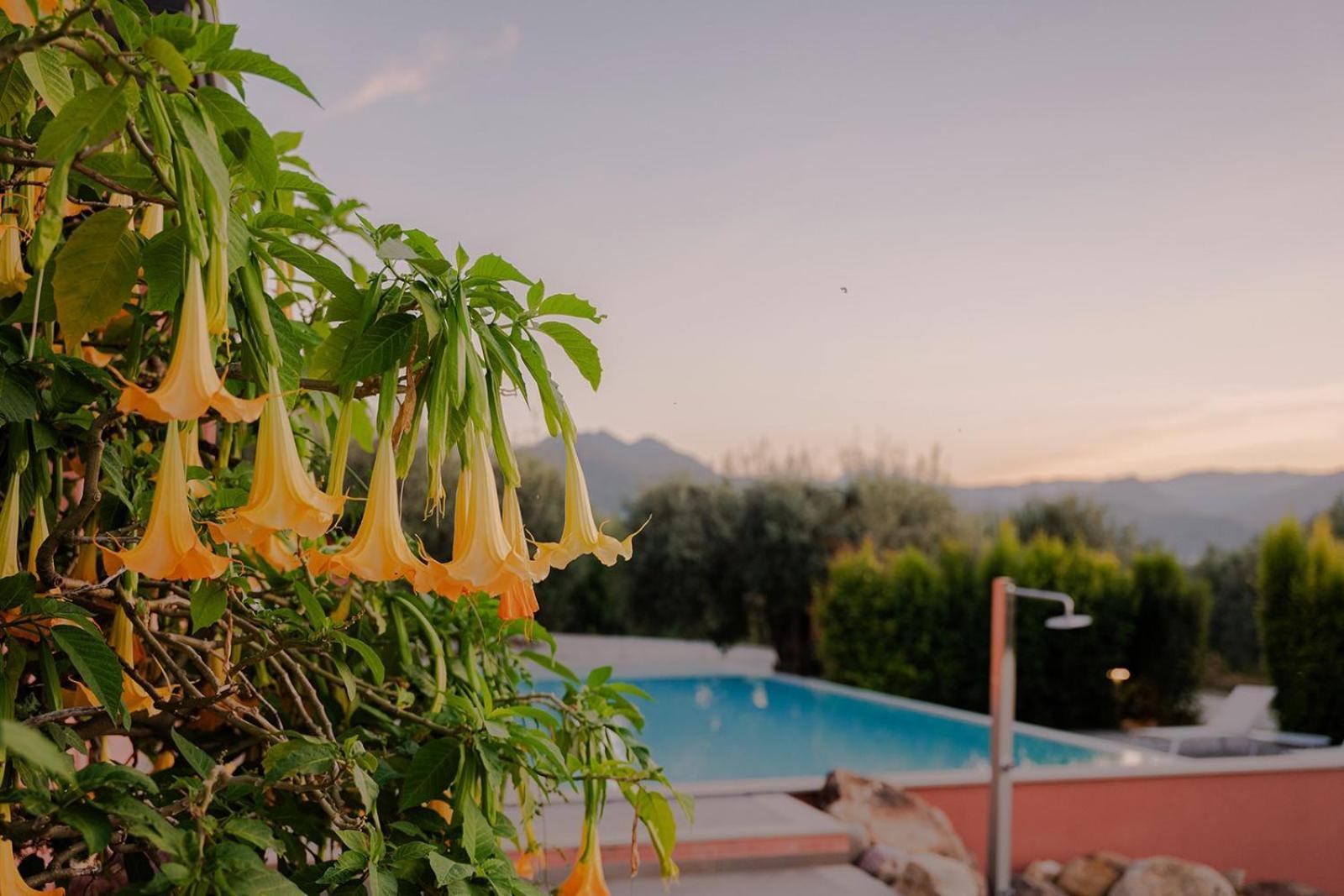 Bioagriturismo Antica Sena Milici Dış mekan fotoğraf