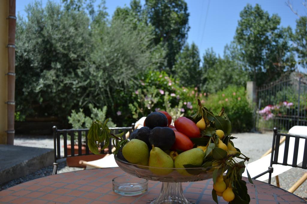 Bioagriturismo Antica Sena Milici Dış mekan fotoğraf